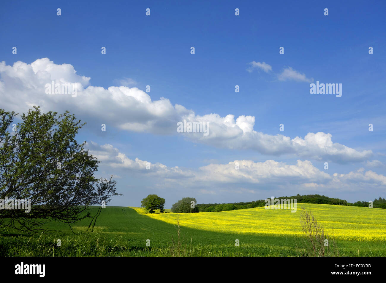 landscape in spring Stock Photo - Alamy