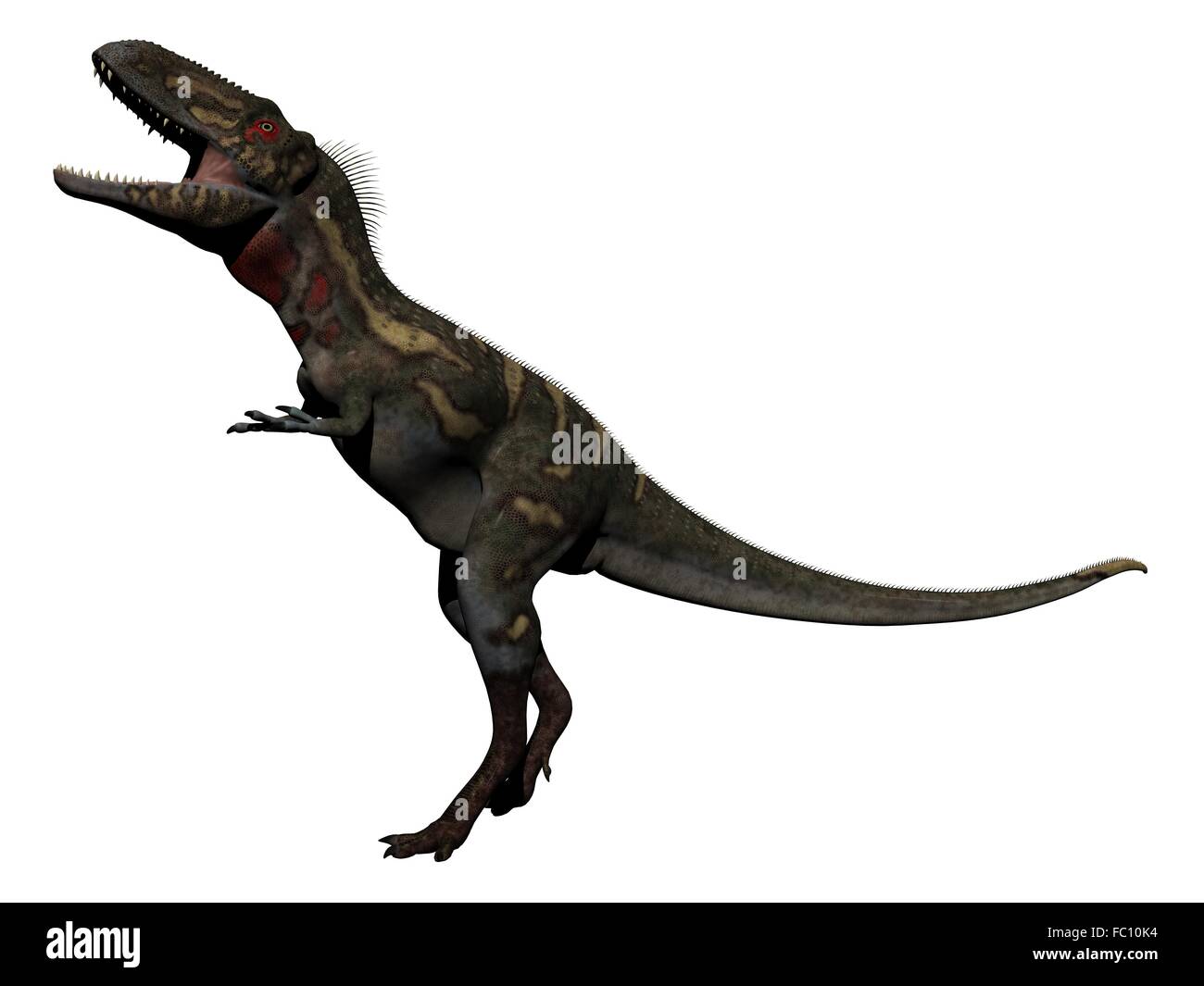 Nanotyrannus Dinosaur on the Run Stock Illustration - Illustration of  isolated, extinct: 47935822