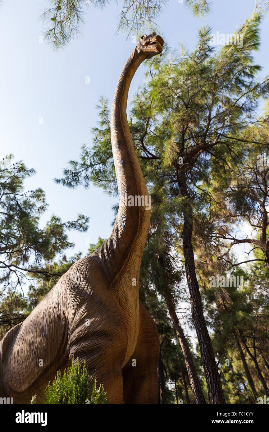 Diplodocus herbivorous dinosaur walking forest Stock Photo