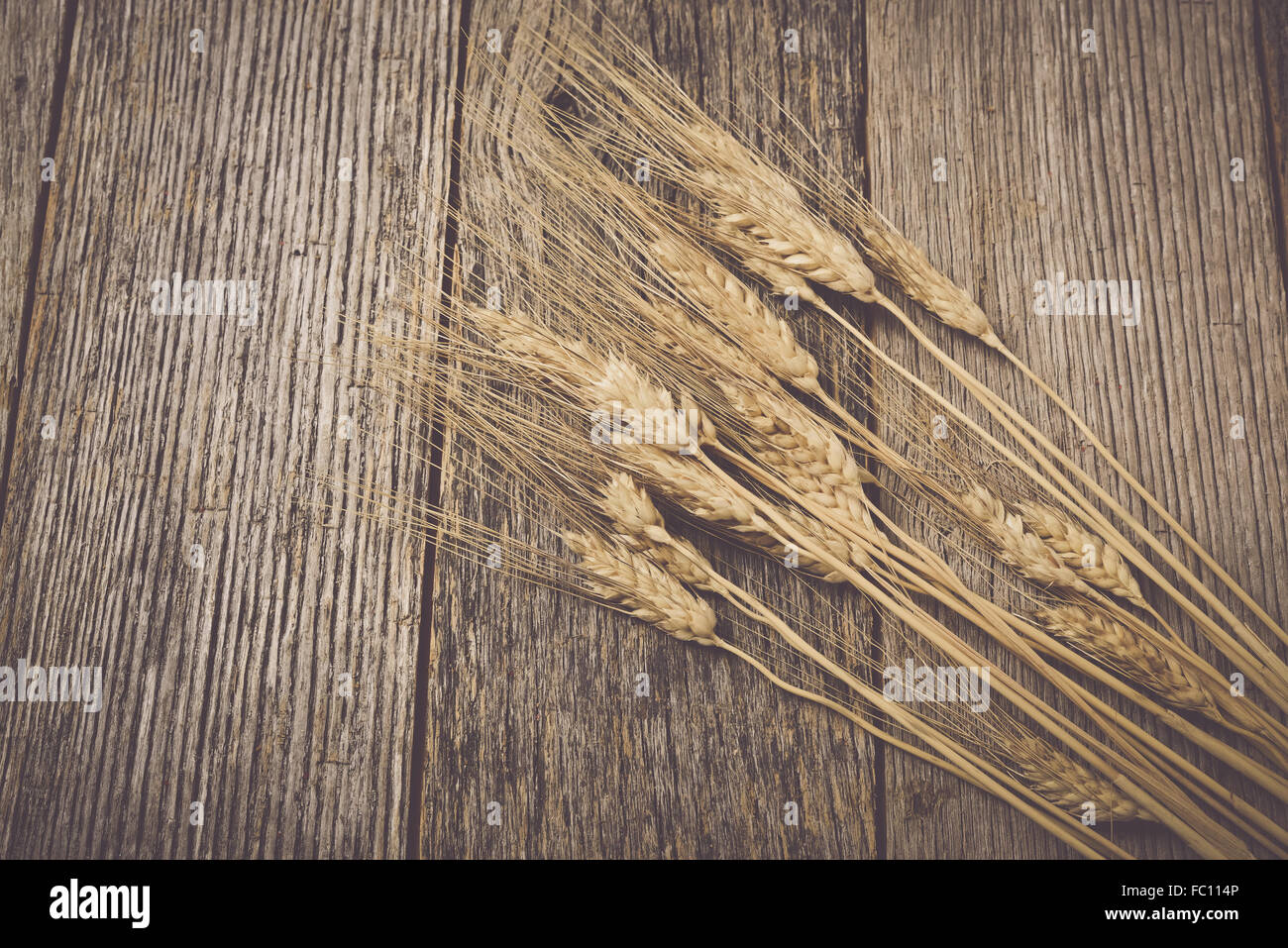 Close up dry golden wheat hi-res stock photography and images - Alamy