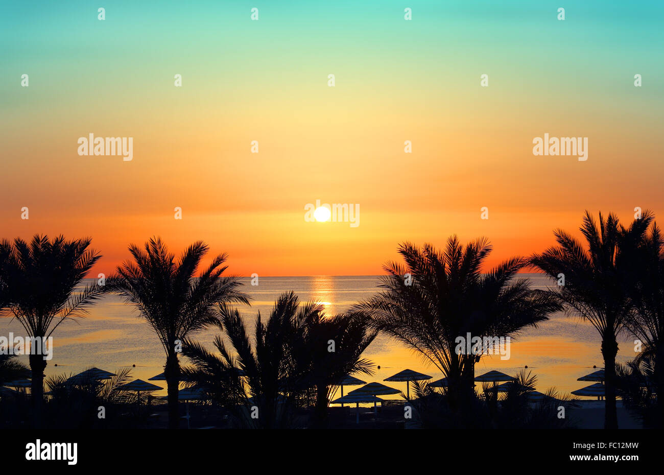 palms and sunrise over sea Stock Photo