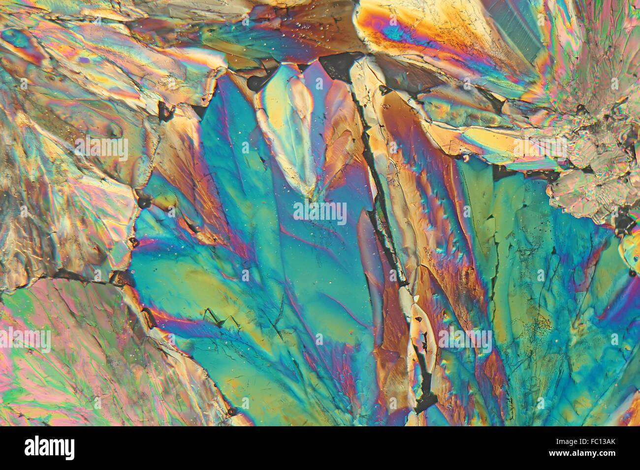 Sugar Crystals under the Microscope Stock Photo