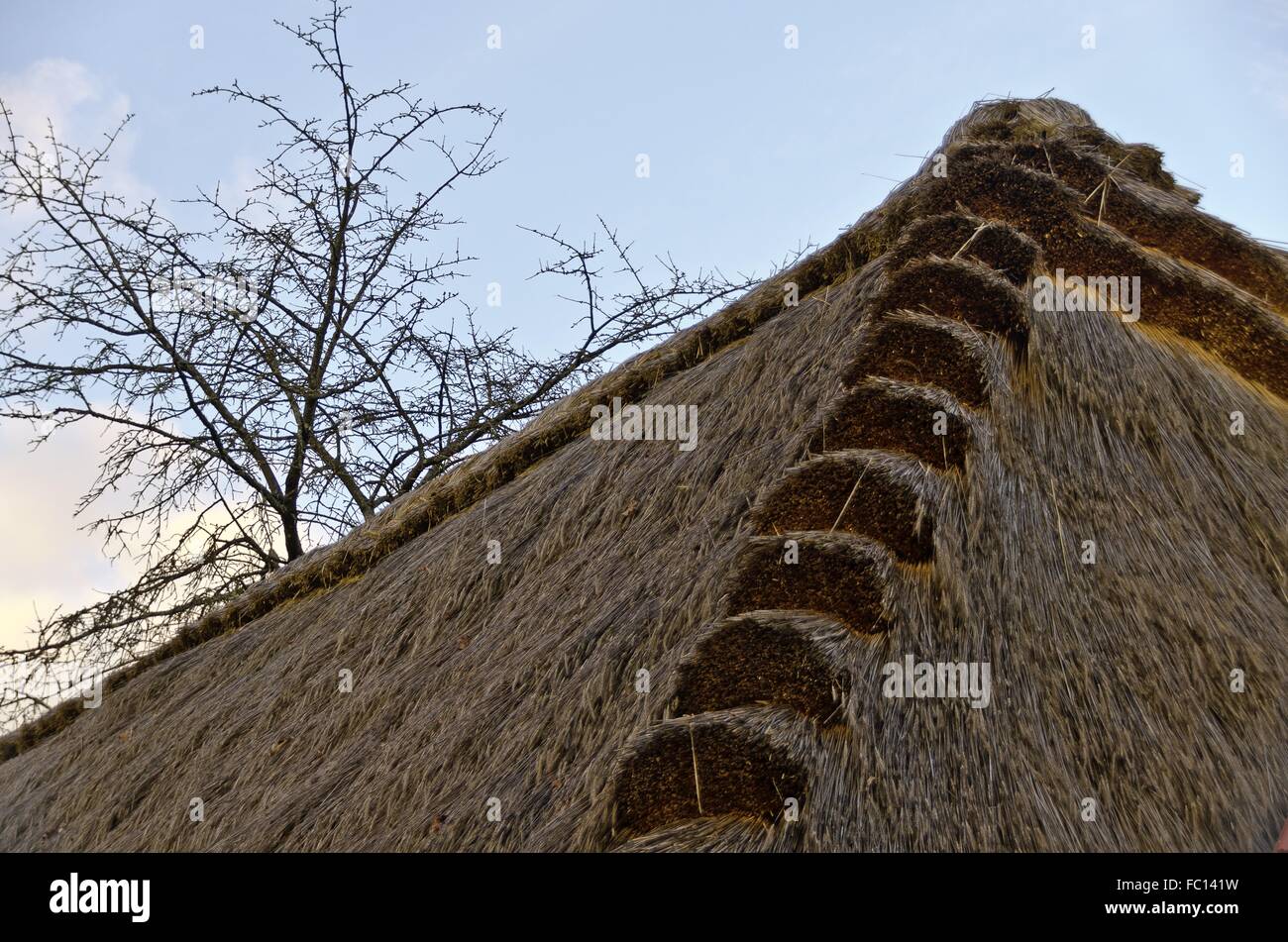 thatched roof of a wine press house Stock Photo Alamy