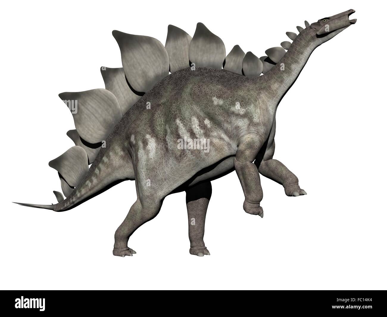 Stegosaurus 3D Dinosaur