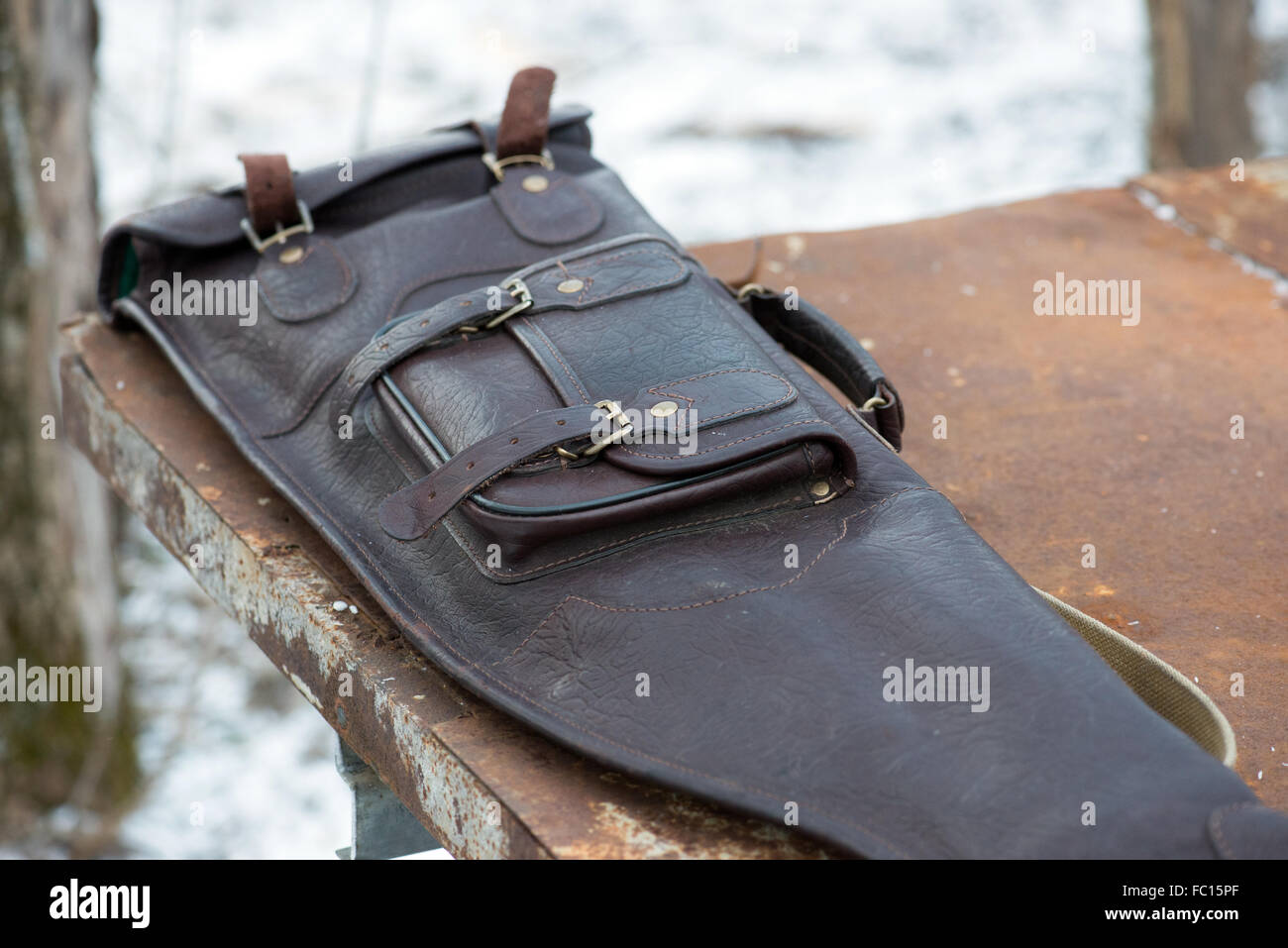 Case for rifles Stock Photo