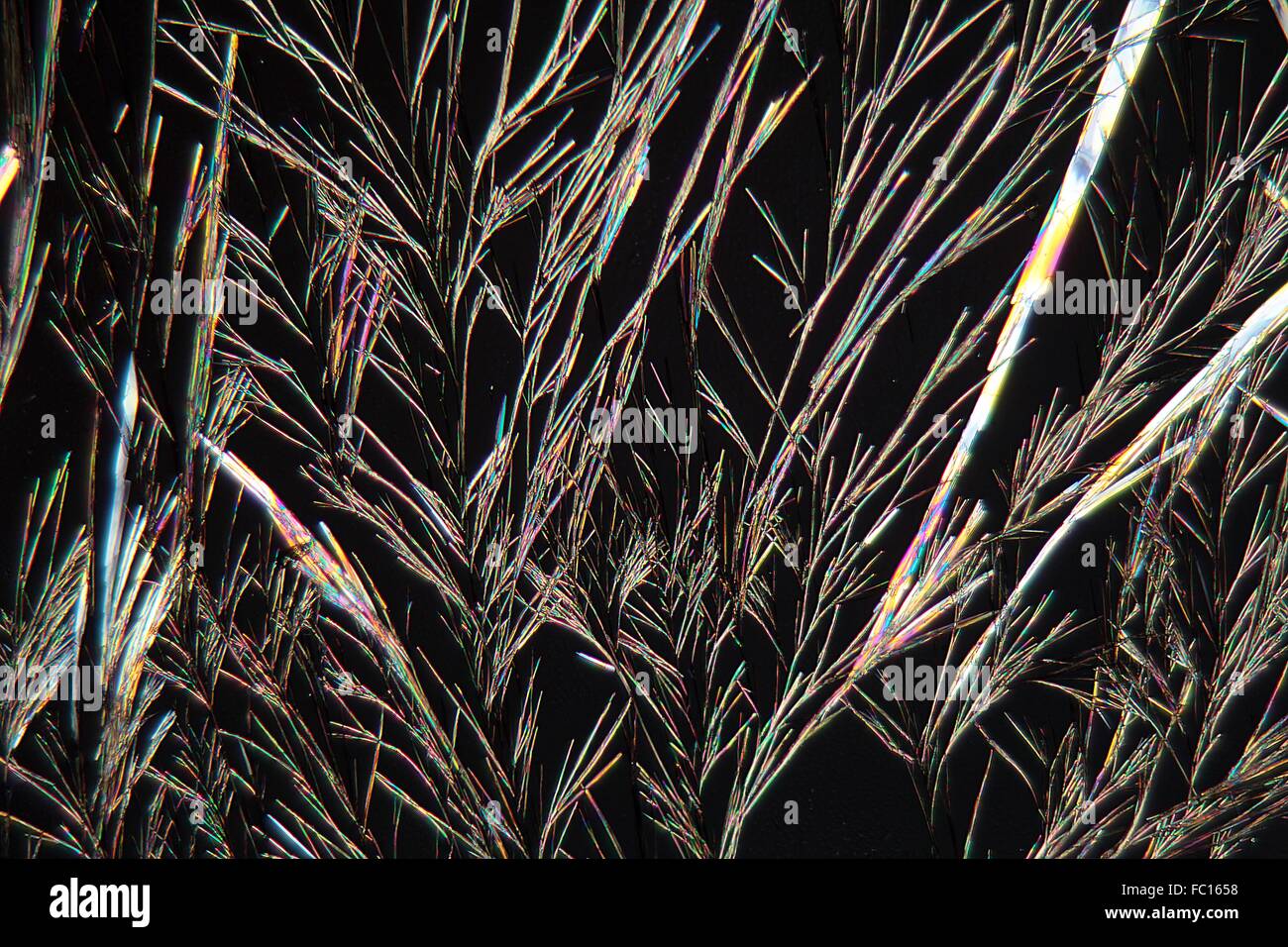 Coumarin crystals under the Microscope Stock Photo
