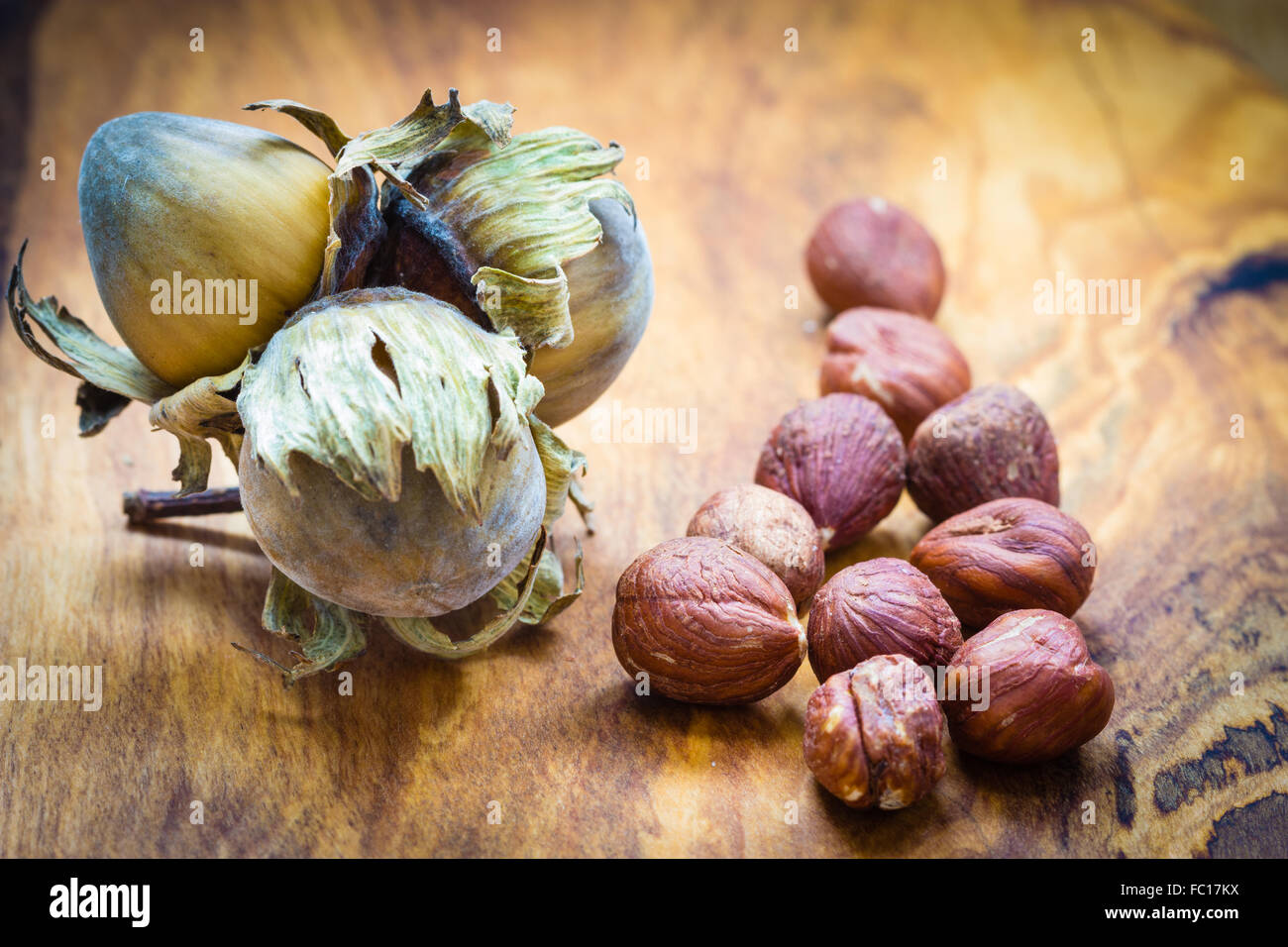 Hazelnuts cluster filbert nuts in the hard shell Stock Photo Alamy