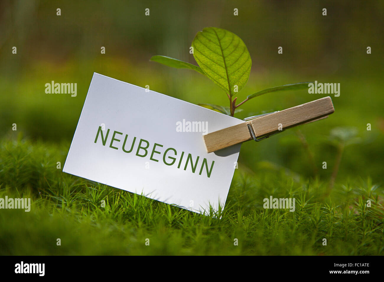 The word „Neubeginn with a seedling Stock Photo