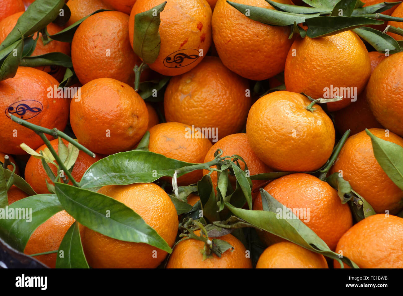 Mandarinen citrus reticulata hires stock photography and images Alamy