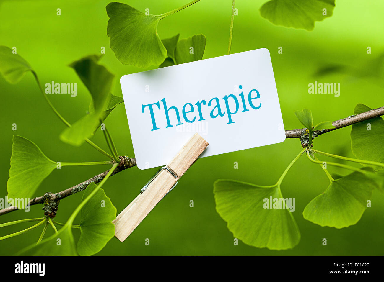 The word „Therapie in a Ginkgo Tree Stock Photo