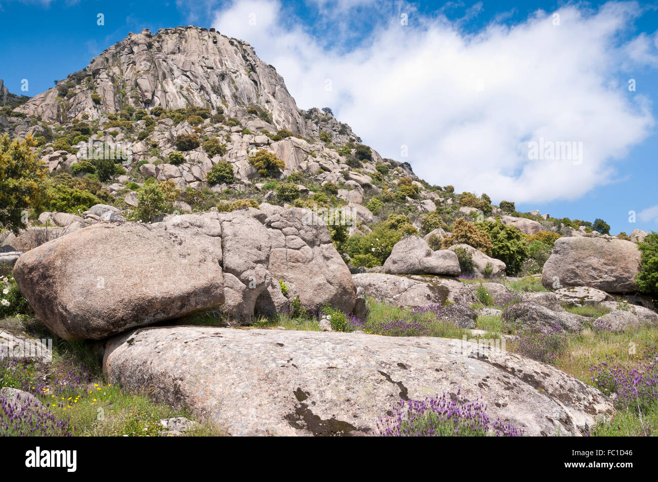 Views of Pico de la Miel (Honey Peak). It is a granite batholith located at  Sierra de la Cabrera, Madrid, Spain Stock Photo