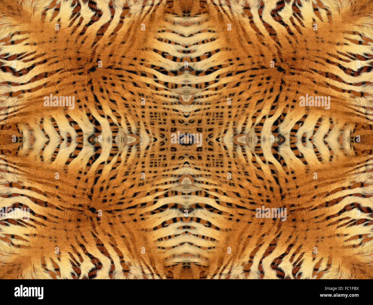 Tiger fur pattern Stock Photo
