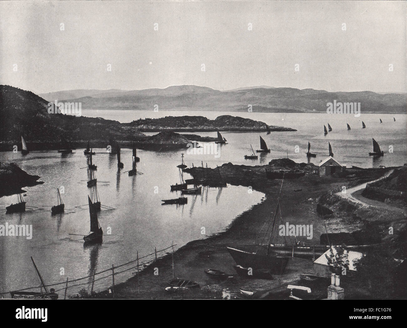 Tarbert Fish Going by boats hi-res stock photography and images - Alamy