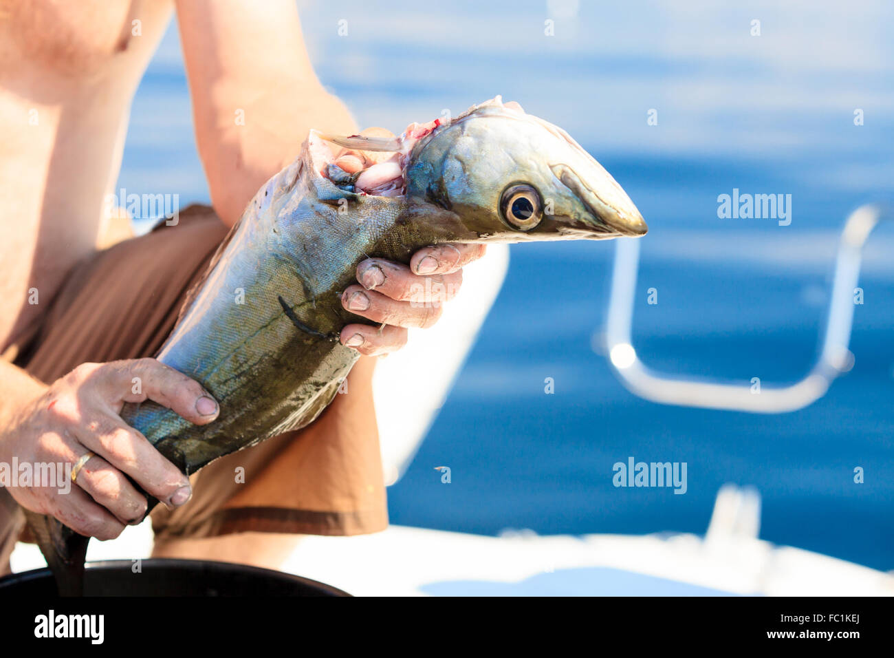 saltwater fishing man cleaning fish outdoor Stock Photo Alamy