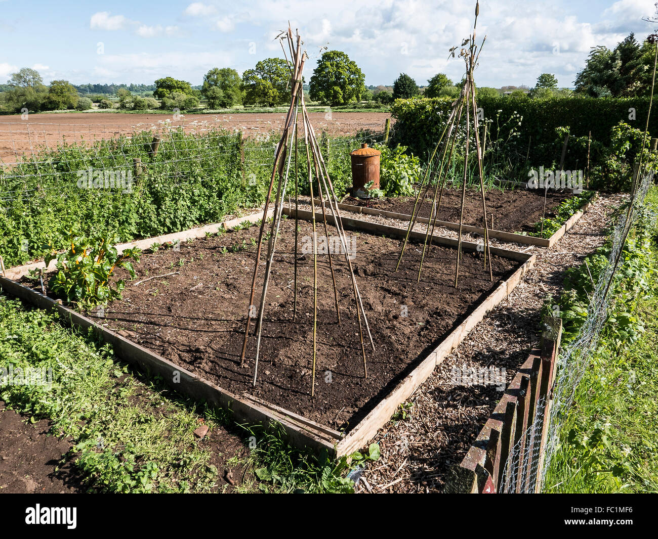 Enclosed vegetable beds ready for planting new season's crops Stock Photo