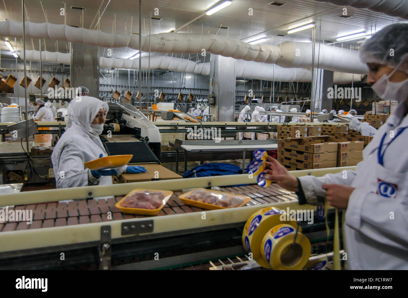 Muslim woman workers working in a chicken meat plant. Stock Photo