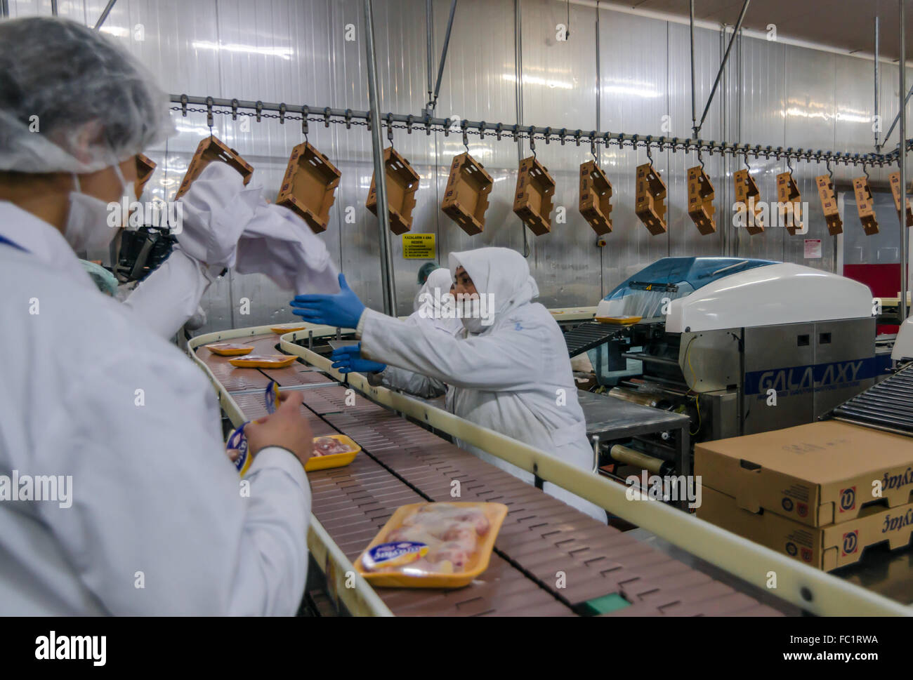 Muslim woman workers working in a chicken meat plant. Stock Photo