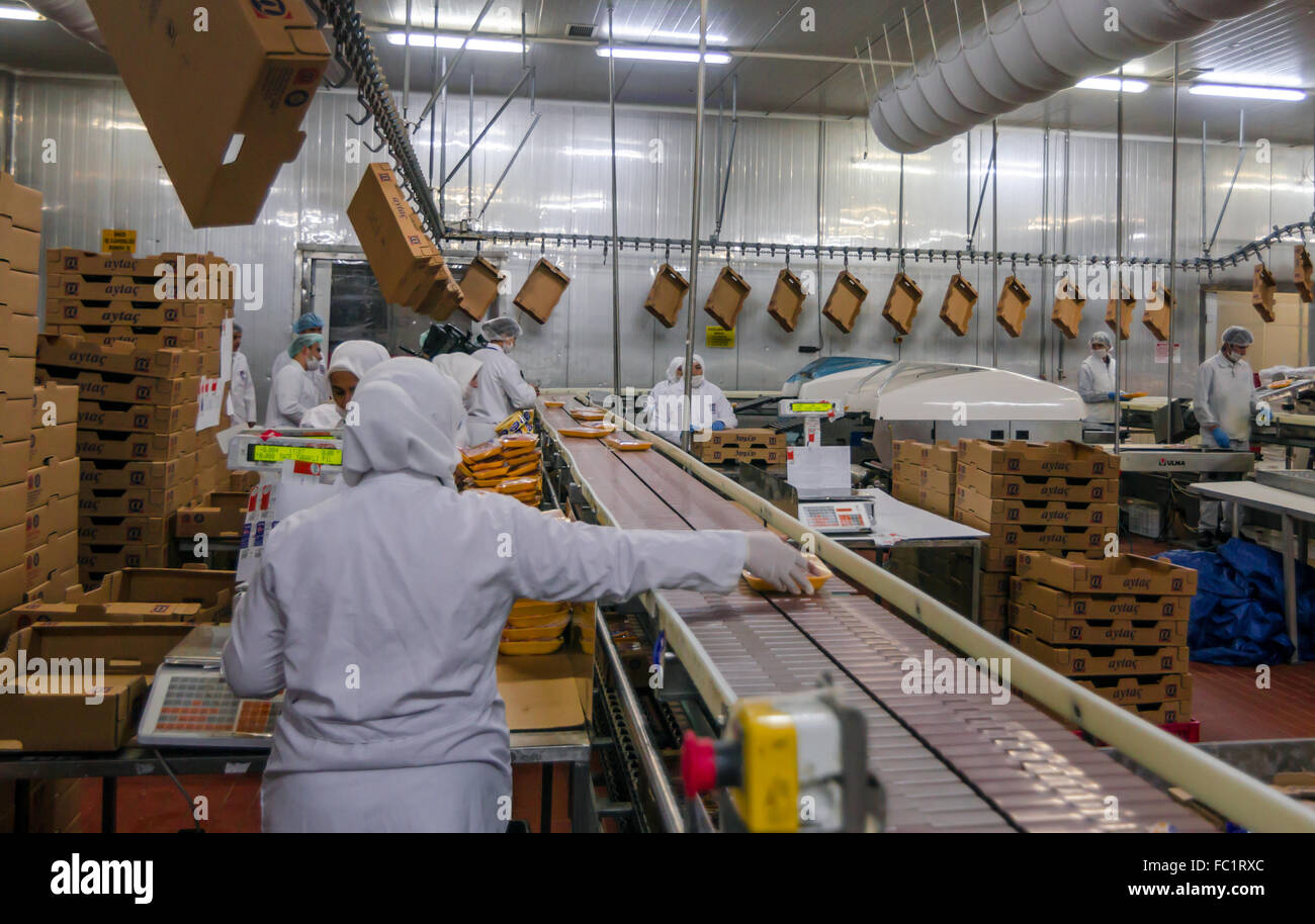 Muslim woman workers working in a chicken meat plant. Stock Photo