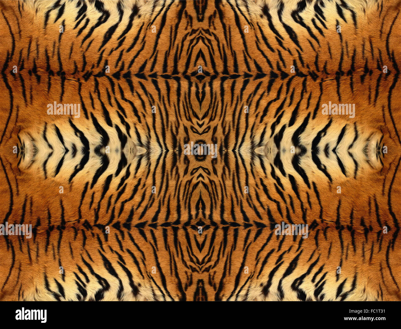 Tiger Fur Pattern Stock Photo