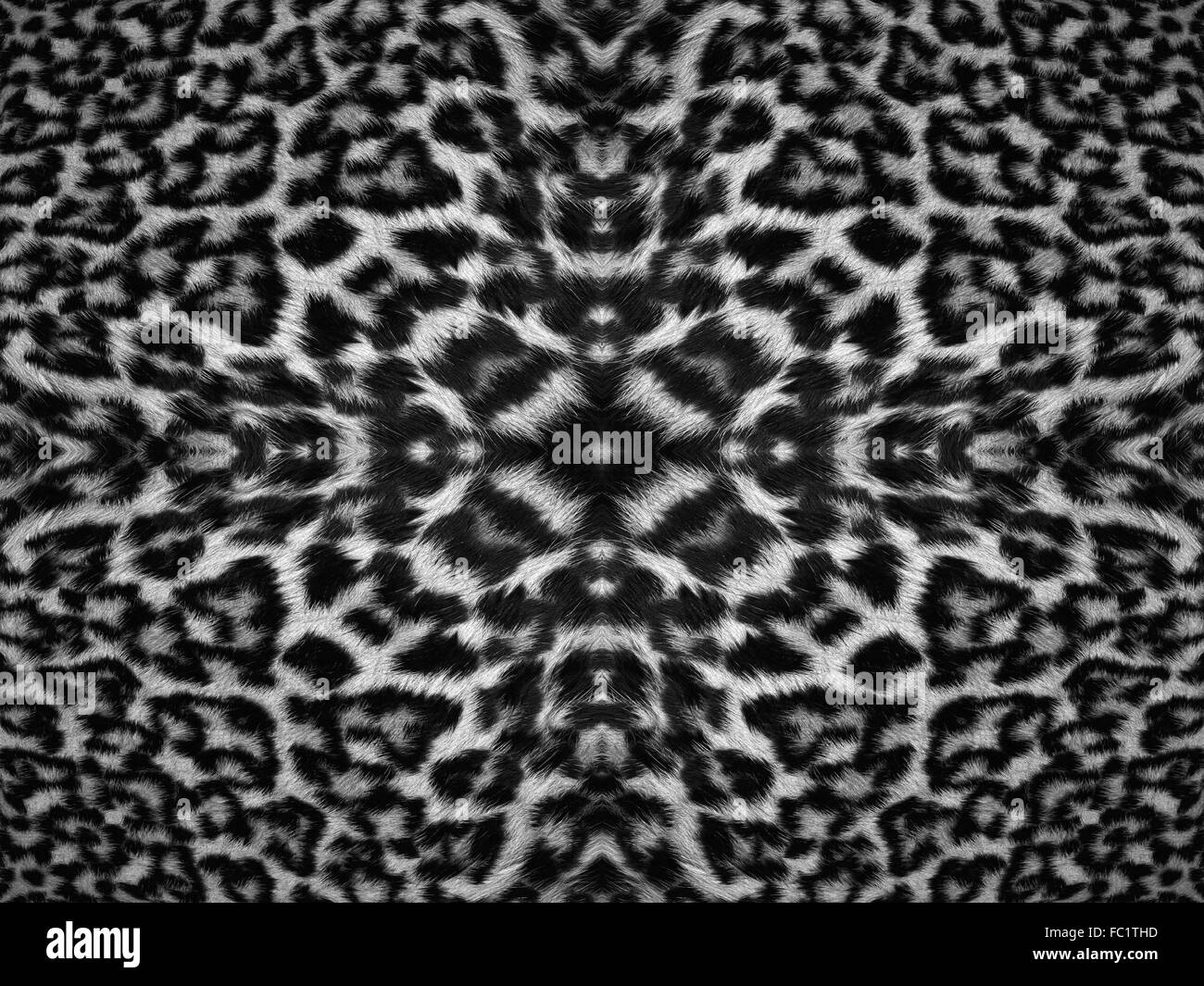 Leopard pattern hi-res stock photography and images - Alamy