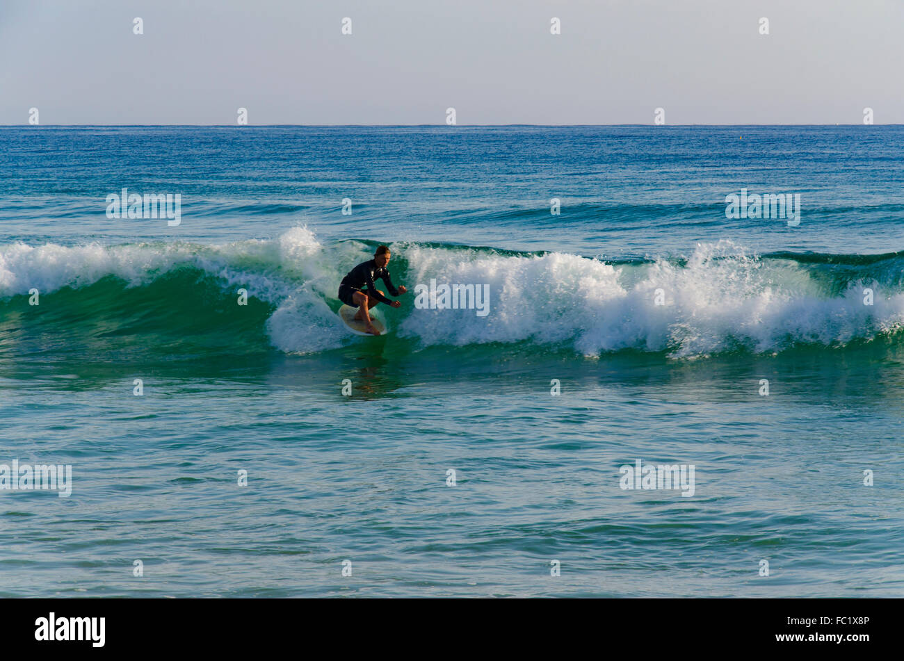 A surfer hangs five as he rides the nose of his board in clear morning surf on the New South Wales South Coast in Australia Stock Photo