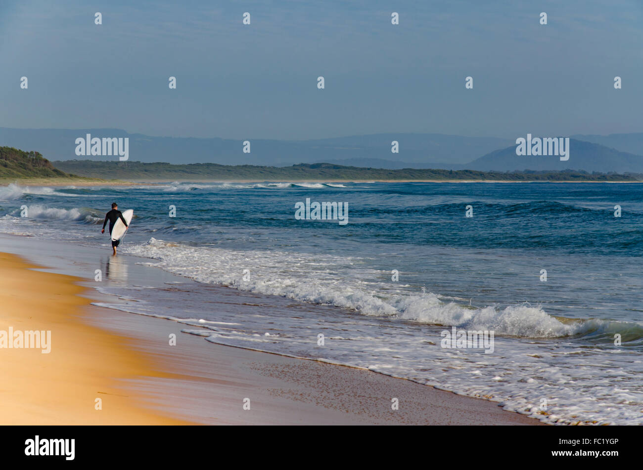 A lone young male surfer walks along the water's edge with his surfboard of a beach on the NSW South Coast Stock Photo