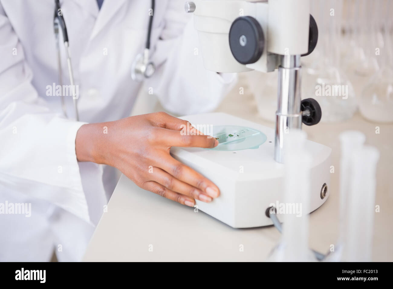 Scientist looking at petri dish under microscope Stock Photo - Alamy