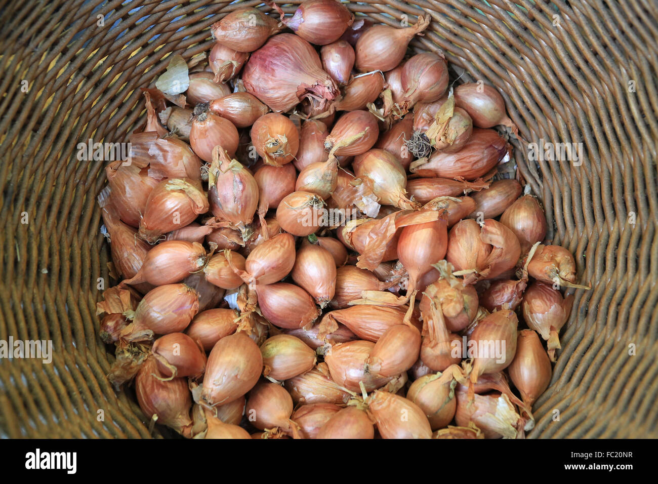 Shallots. Stock Photo