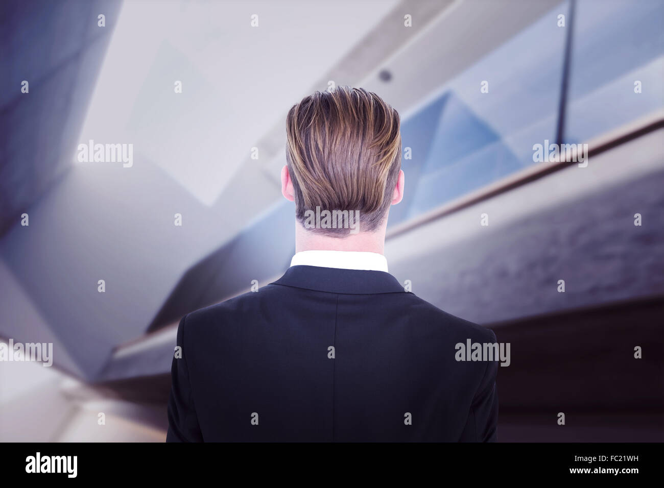 Composite image of rear view of elegant businessman in suit posing ...
