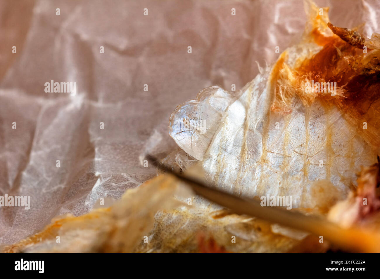 Beauty scales and fish skins for mood Stock Photo