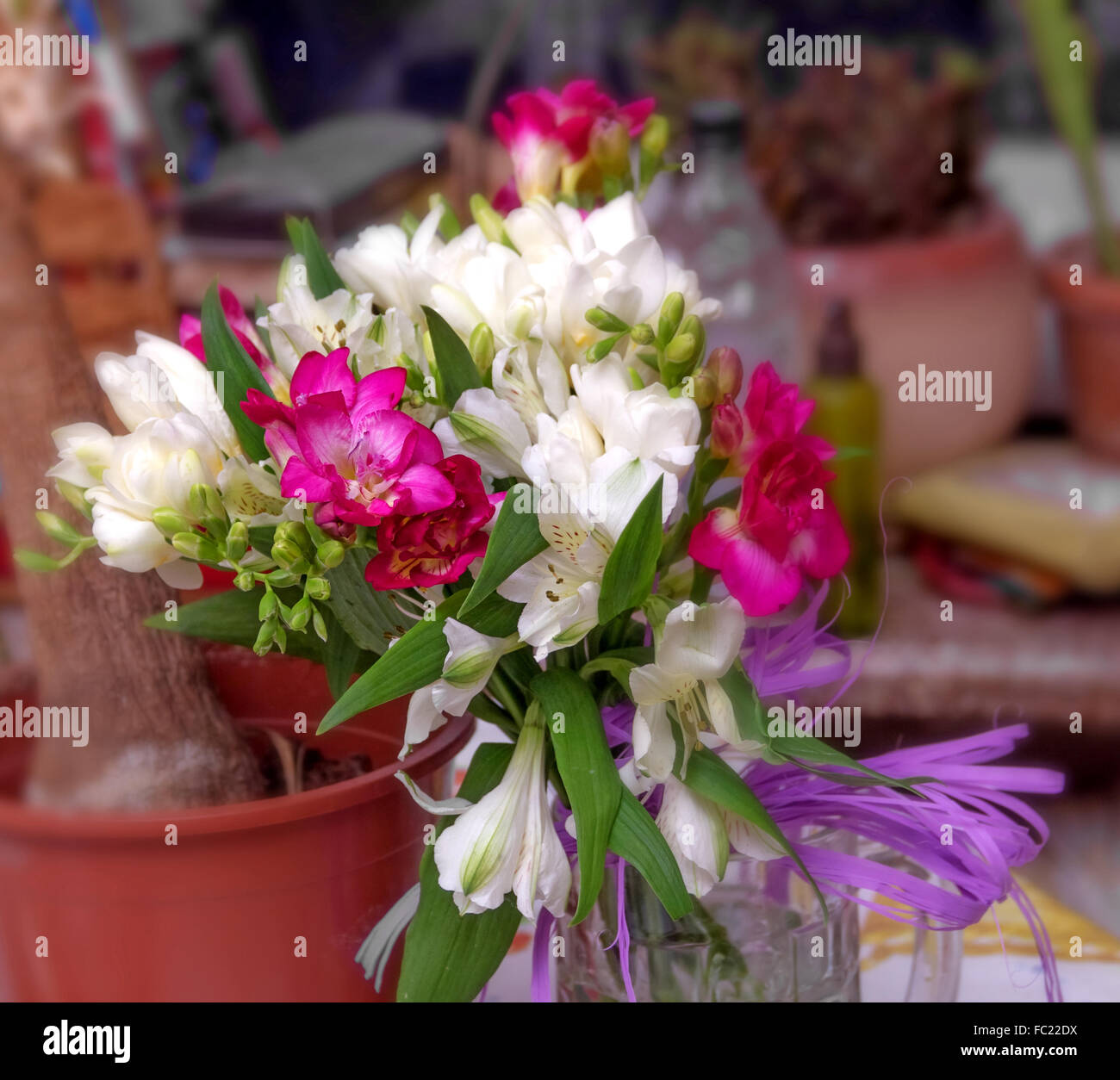 Nice bouquet of pink and white freesia Stock Photo