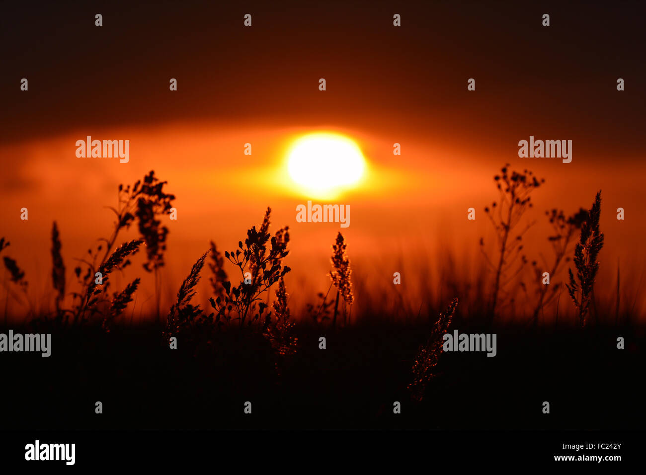 evening atmosphere Stock Photo