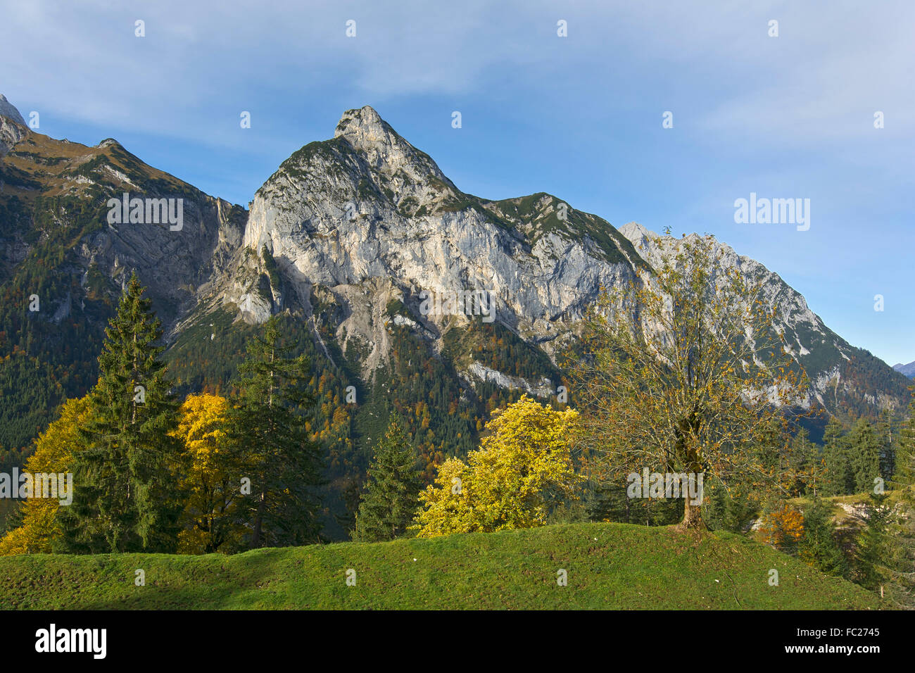 View from the Hasentalalm pasture on the Roßkopf peak, Hinterriss, Tyrol, Austria Stock Photo