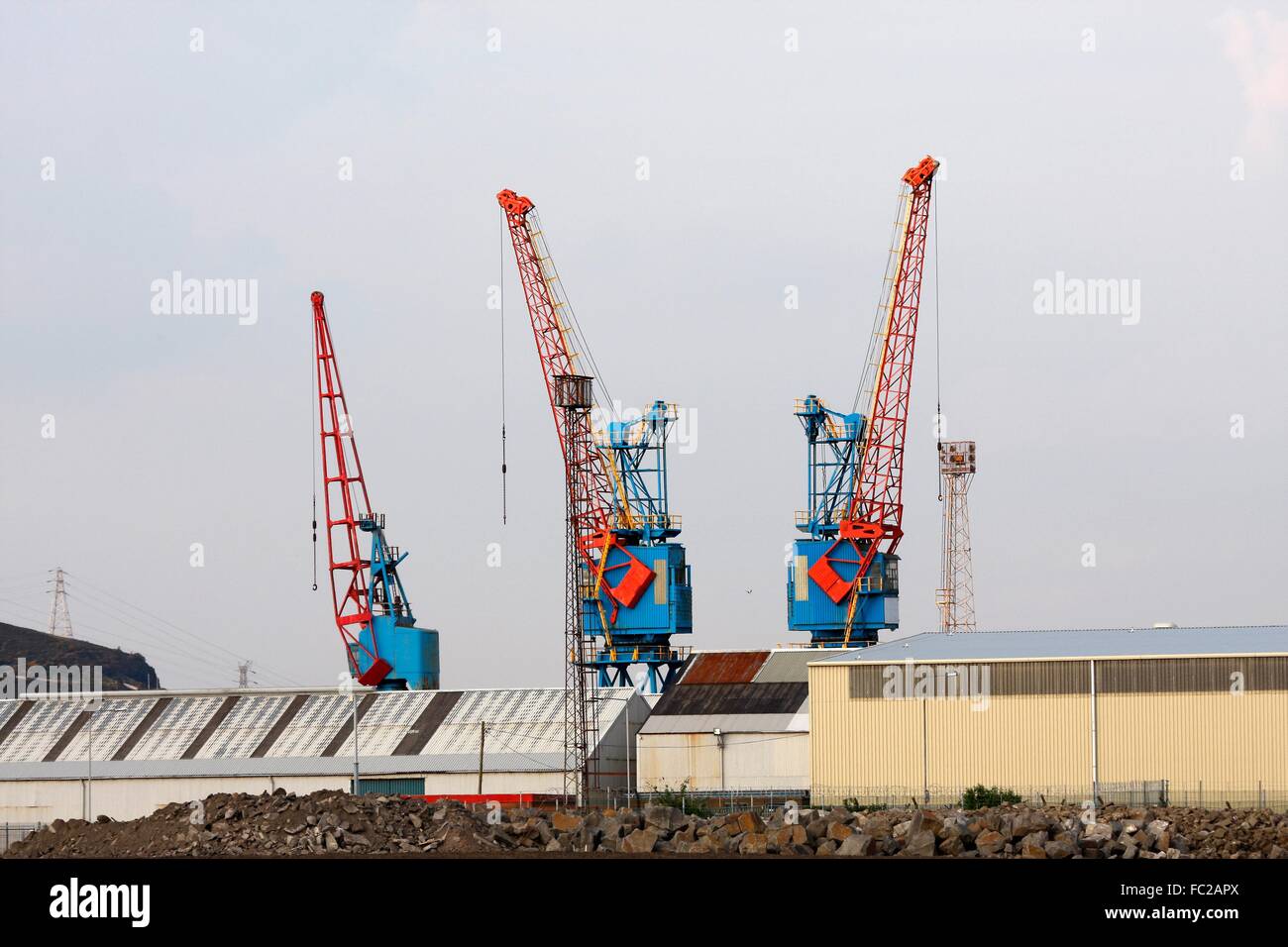 Large red and blue cranes Stock Photo