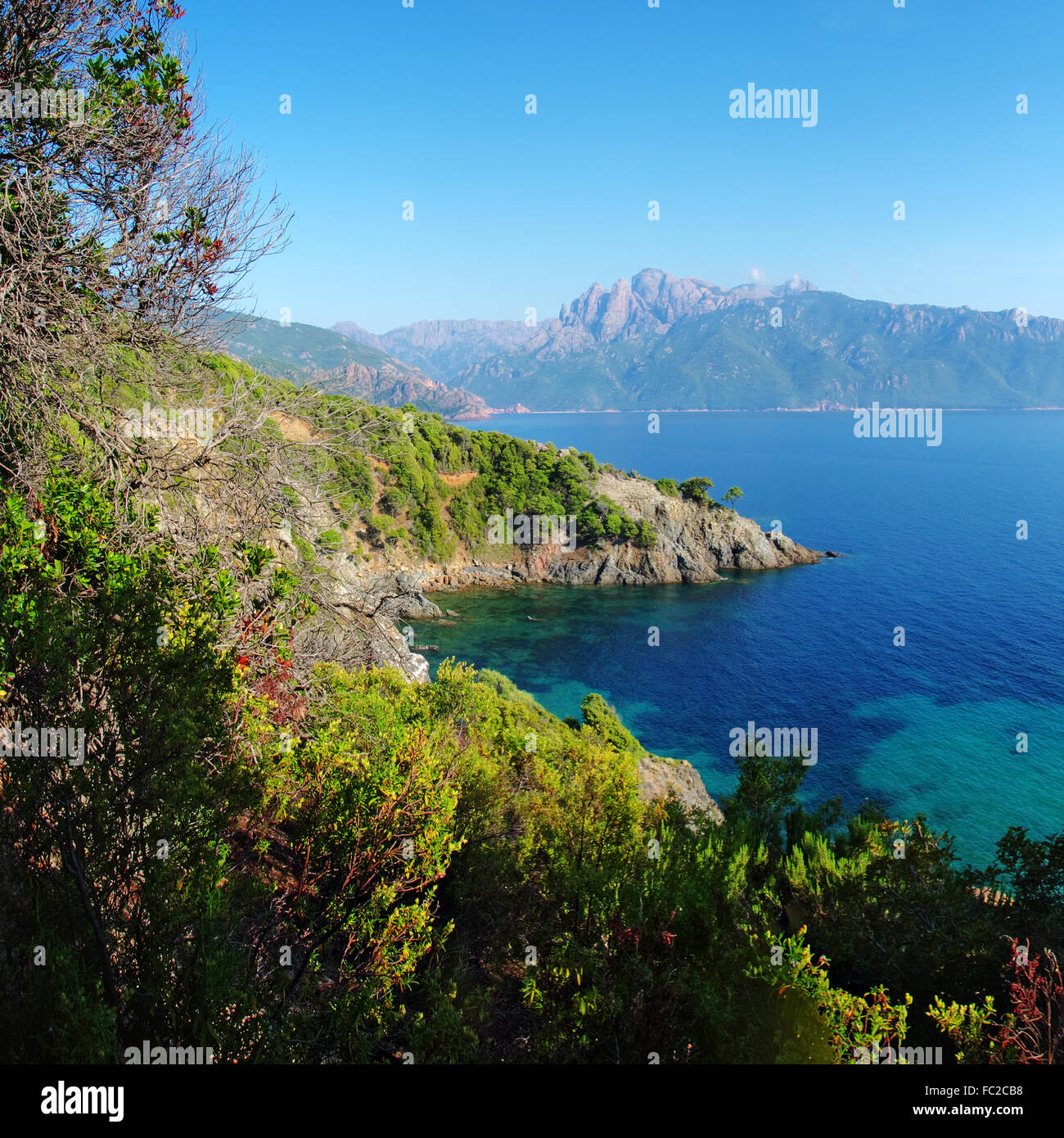 Gulf of Porto and Capu d'Ortu - Corsica Stock Photo