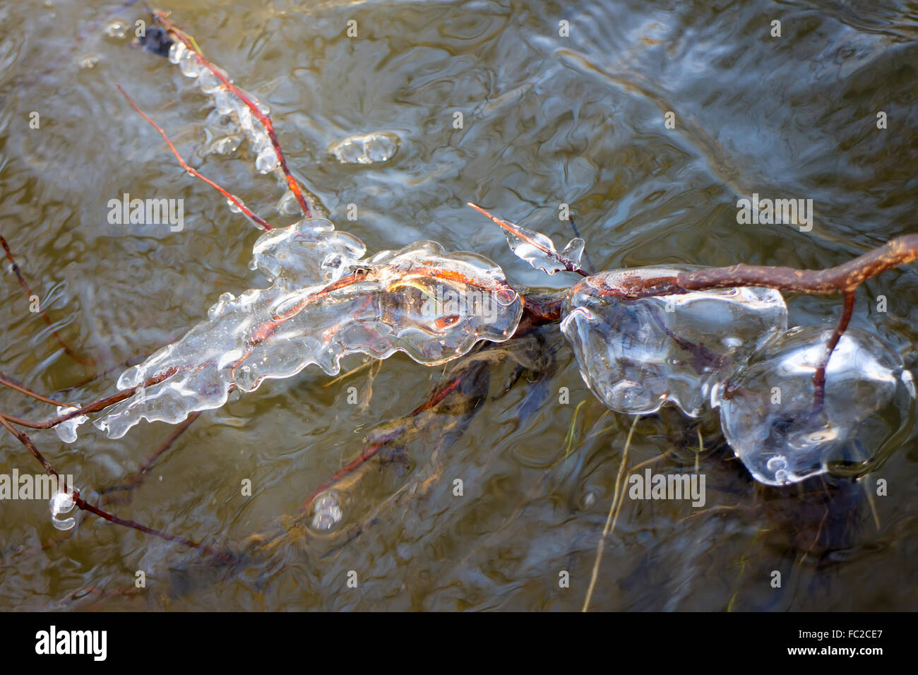 natural surroundings spring is everywhere Stock Photo - Alamy