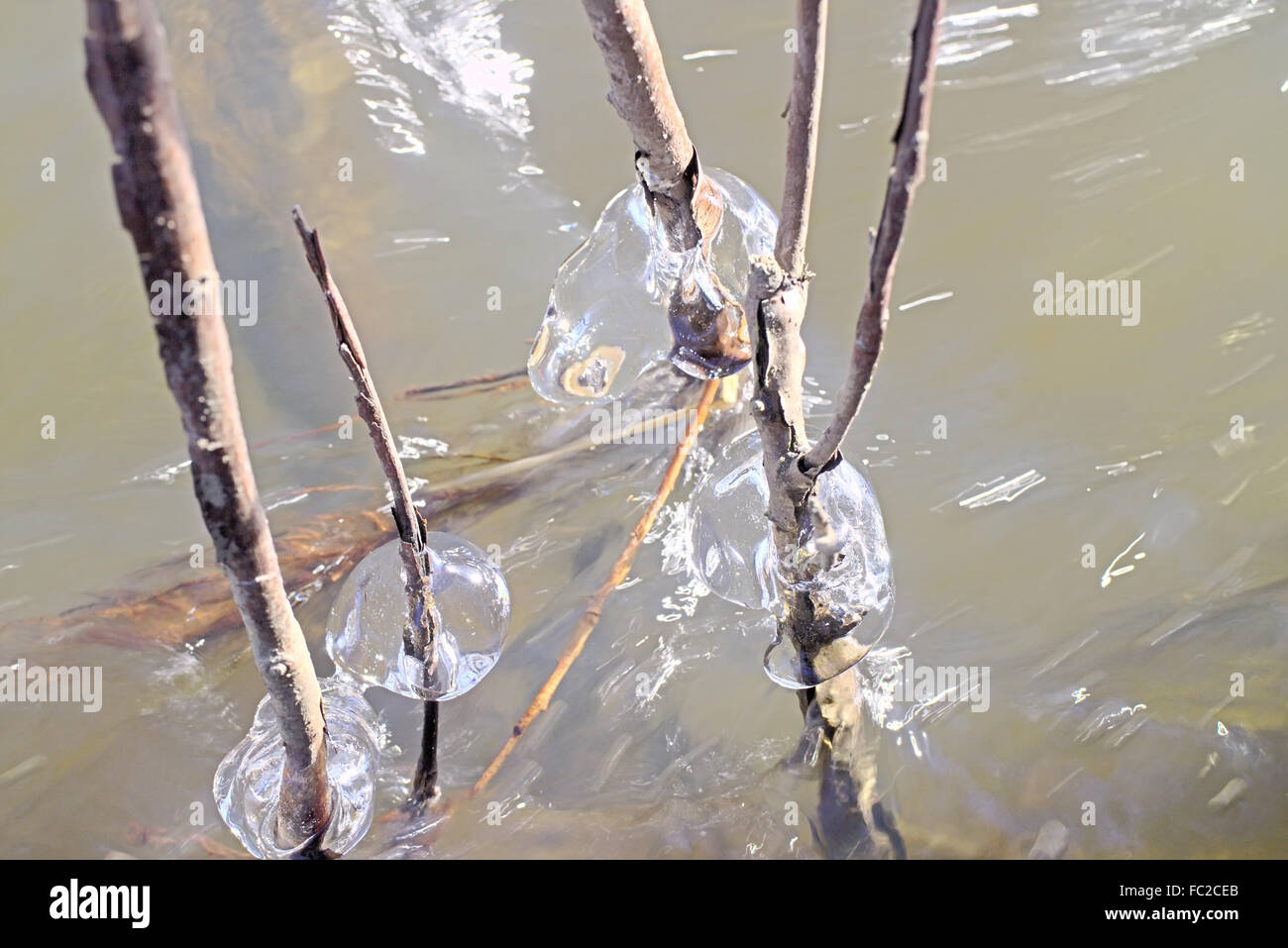 natural surroundings spring is everywhere Stock Photo - Alamy
