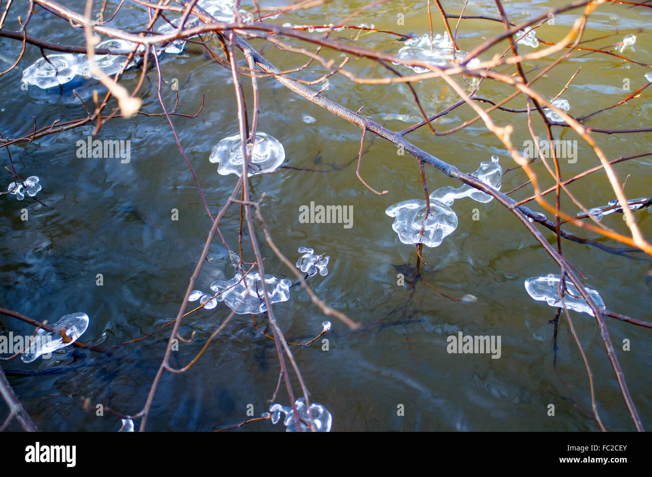 natural surroundings spring is everywhere Stock Photo - Alamy