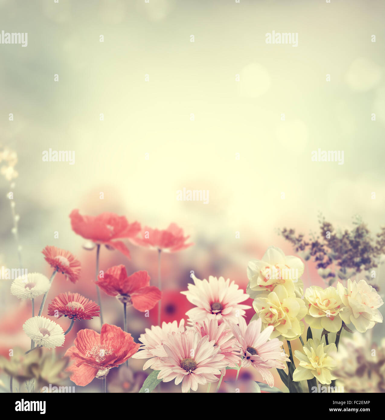 Flowers wallpaper hi-res stock photography and images - Alamy