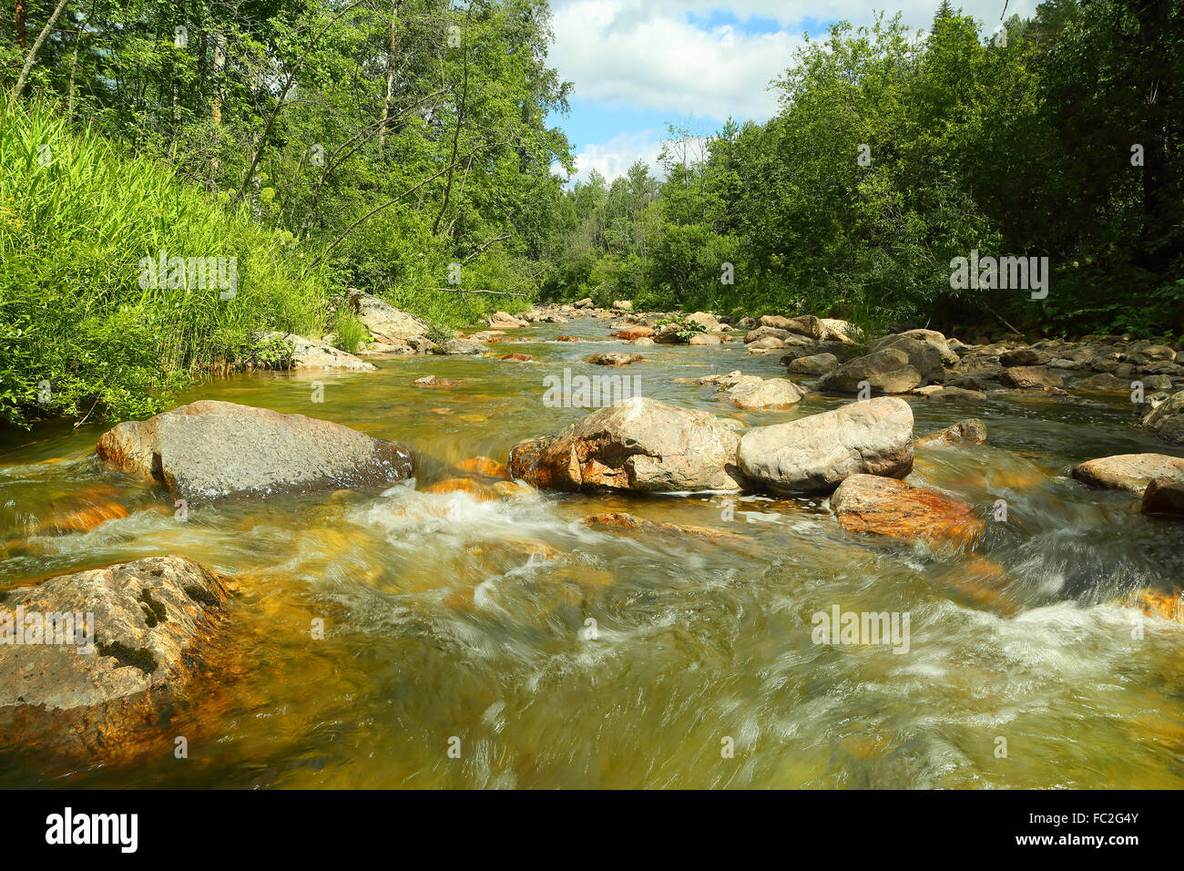 Summer river background hi-res stock photography and images - Alamy