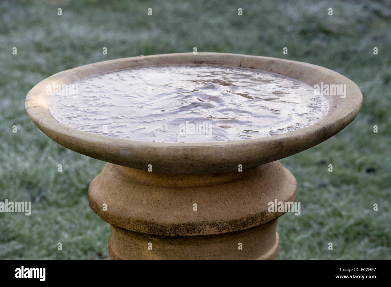 Frozen bird bath in winter in an english garden Stock Photo Alamy