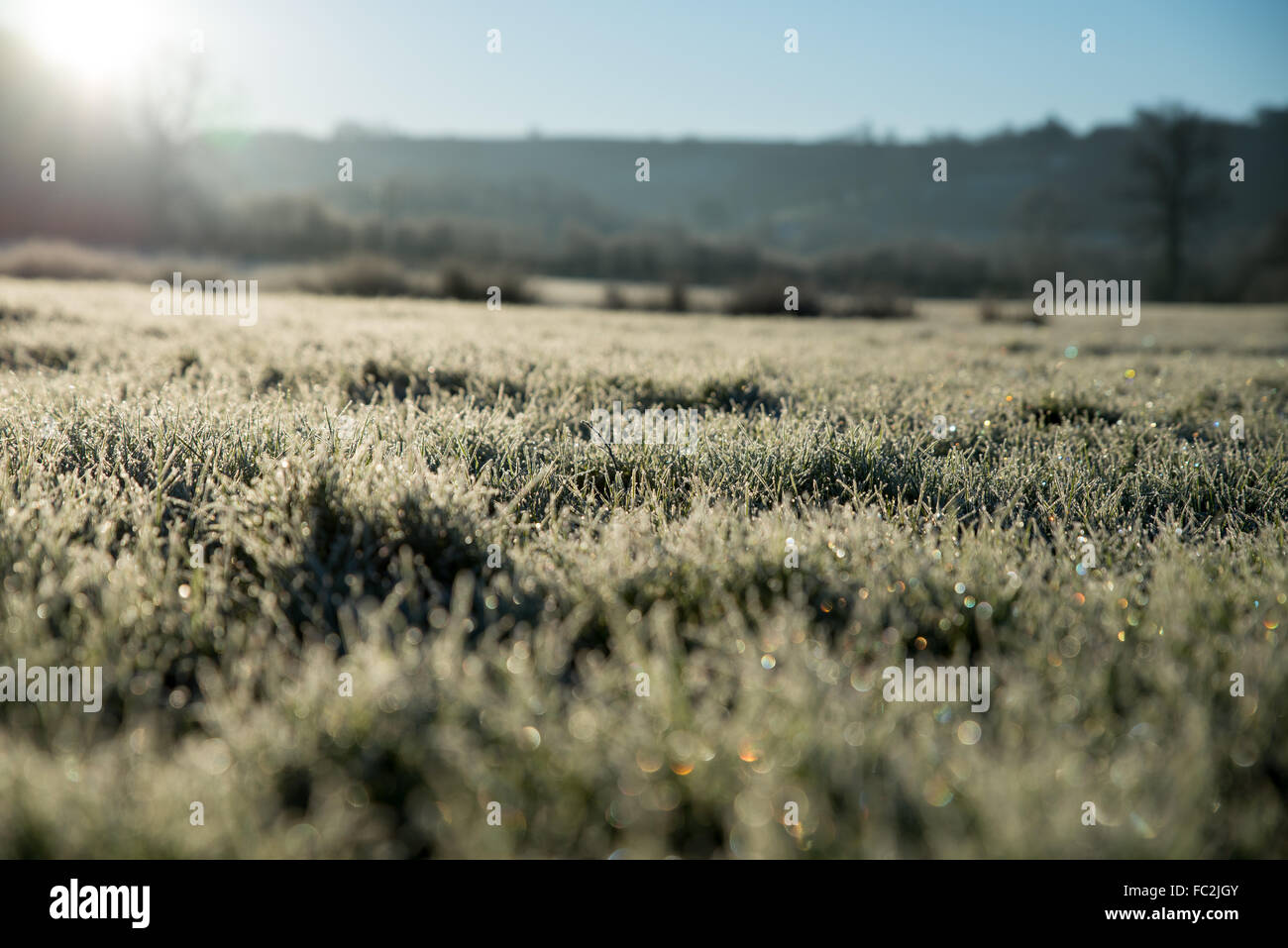 Llandysul Ceredigion High Resolution Stock Photography And Images Alamy