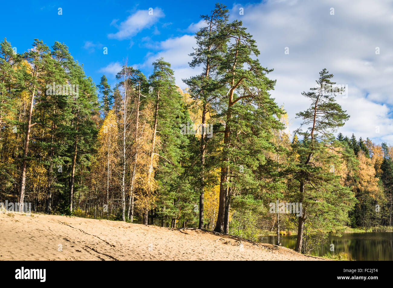 Beautiful landscape lake forest hi-res stock photography and images - Alamy