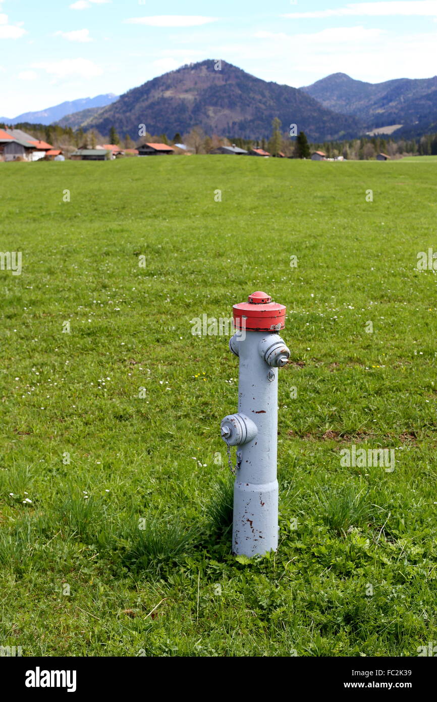 Dog And Fire Hydrant Stock Photos & Dog And Fire Hydrant Stock Images