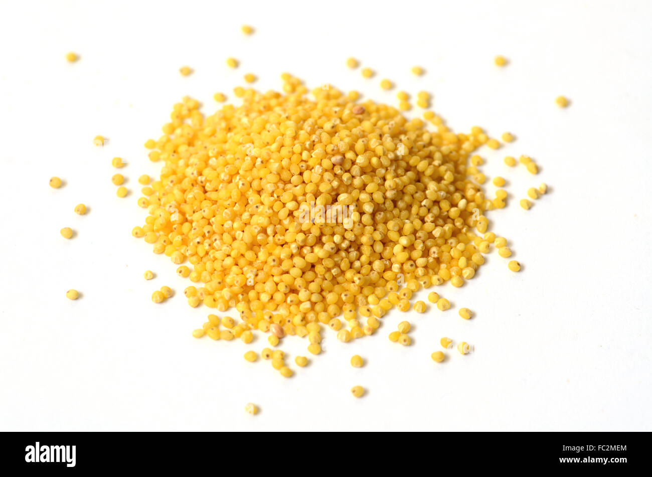 Millet seed hires stock photography and images Alamy