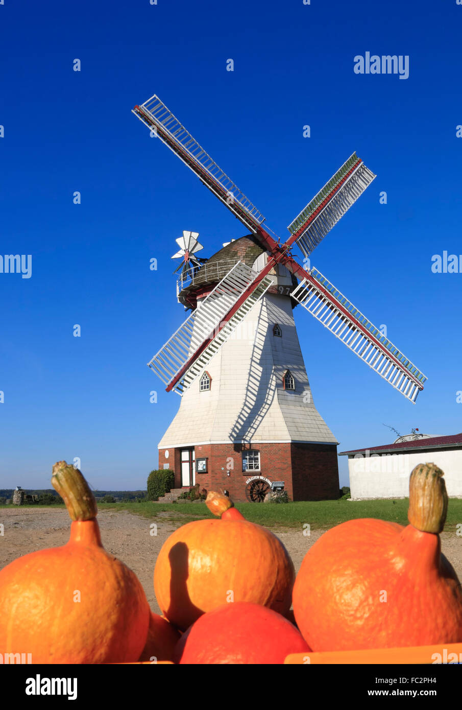 Eyendorf windmill, Lueneburger Heide (heath),  Lower Saxony, Germany, Europe Stock Photo
