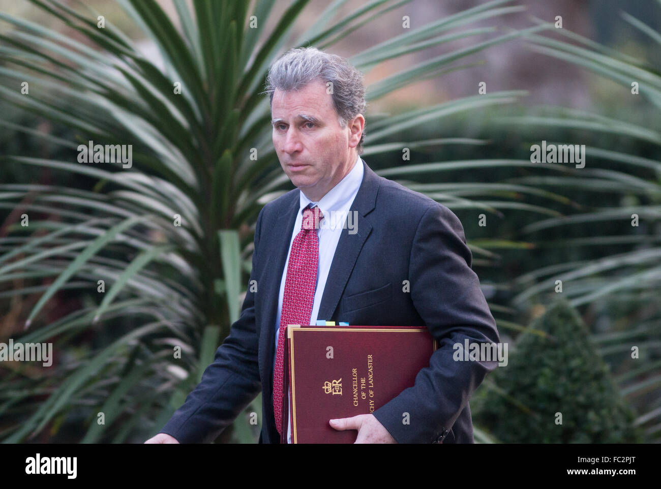 Oliver Letwin,Minister of State for Government Policy,arrives at Number 10 Downing Street for a Cabinet meeting Stock Photo