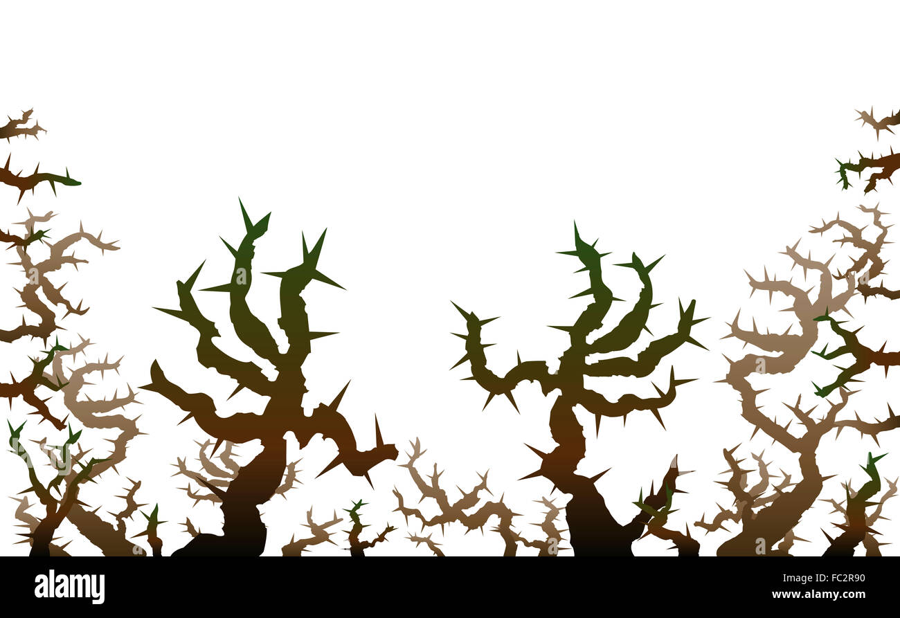 Brier - threatening thorns that look like spooky grabbing hands. Illustration on white background. Stock Photo