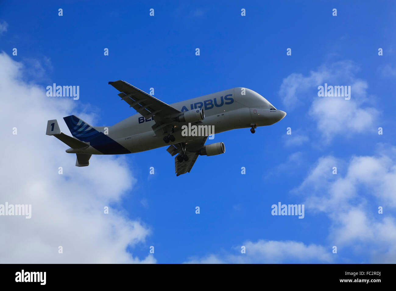 https://c8.alamy.com/comp/FC2RDJ/beluga-airbus-transpotation-airplane-a-300-600-st-finkenwerder-hamburg-FC2RDJ.jpg