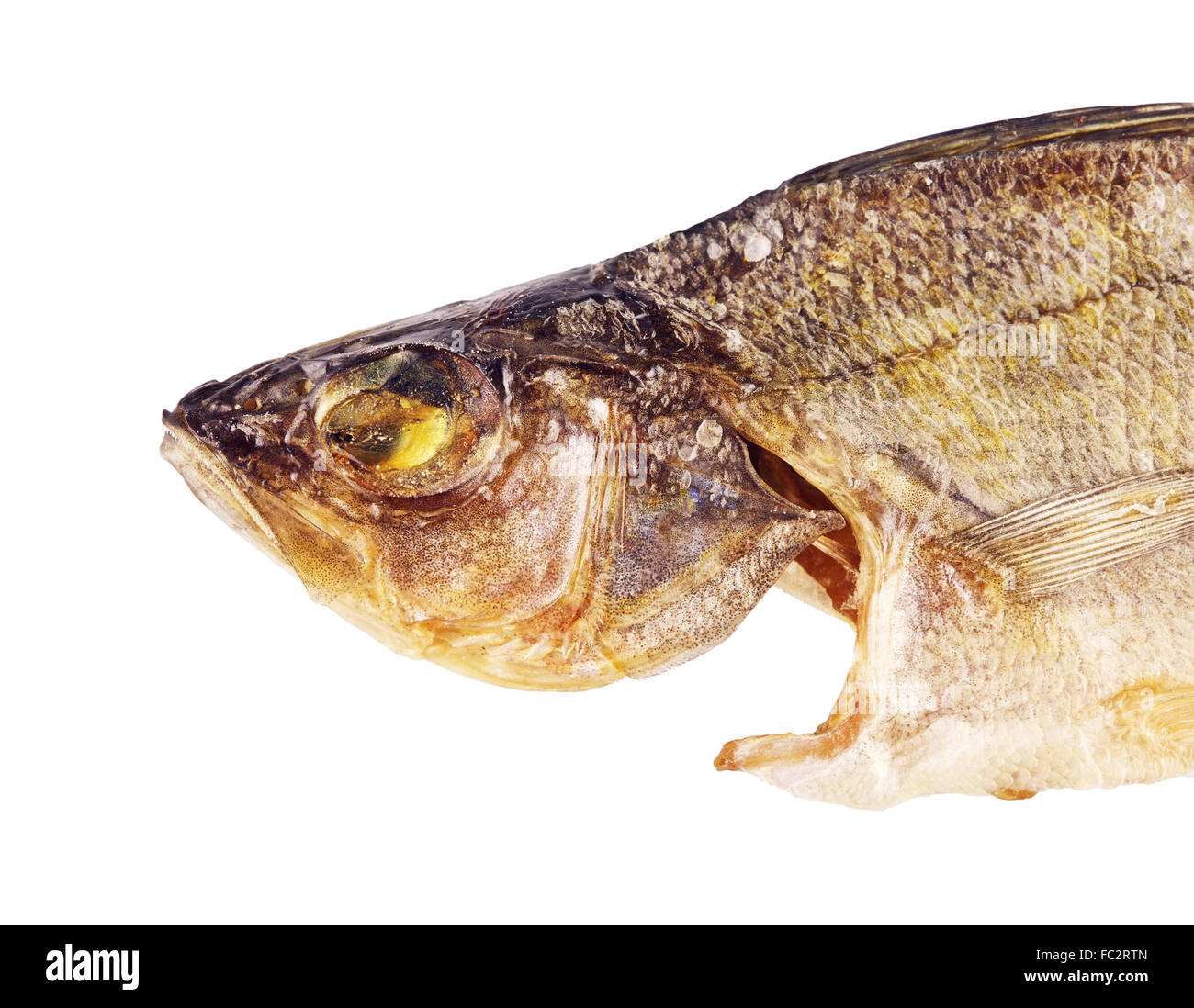 salty dried fish perch, isolated on white background Stock Photo
